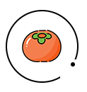动态水果圆圈柿子小图标